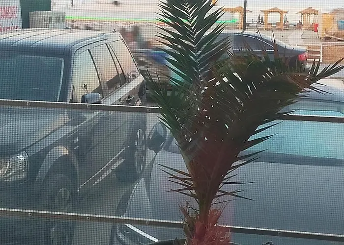 Briza Marii Pe Plaja